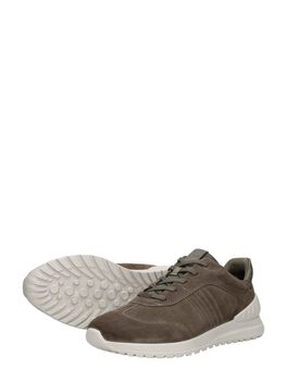 Astir Lite