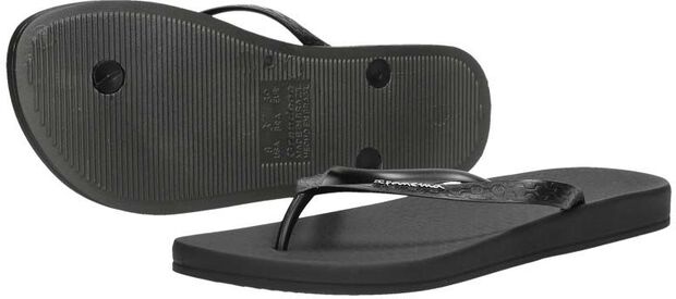 Anatomic Colors - large