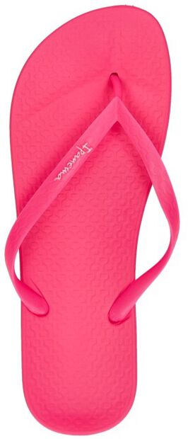 Anatomic Colors - large