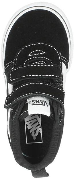 TD Ward Mid V - large