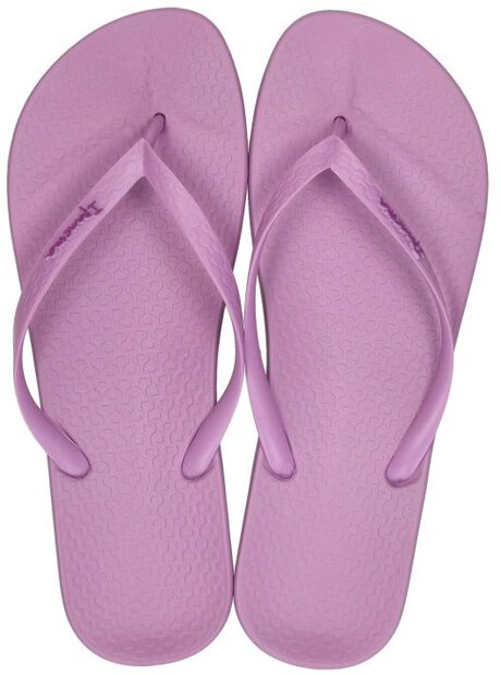 Anatomic Colors - large