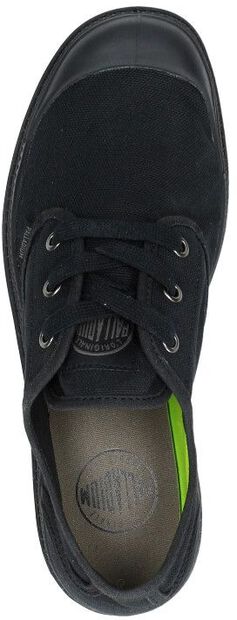 Pampa Oxford - large