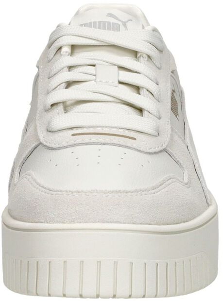 Carina Street SD - large