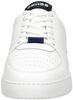 Thabo Calf - small