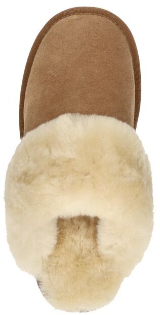 Flurry - large