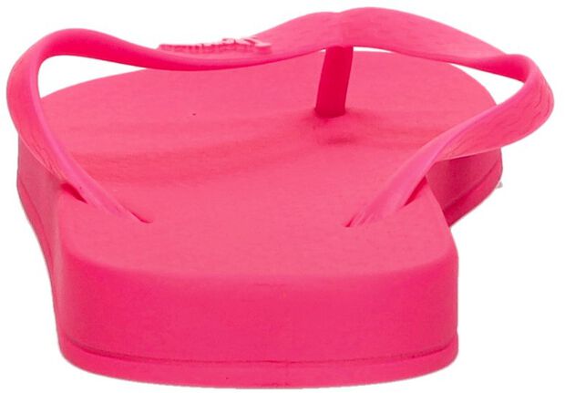 Anatomic Colors - large