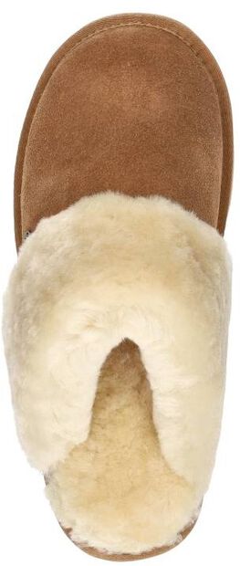 Flurry Plateau - large