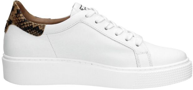 Dames sneakers - large