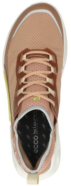 Biom 2.1 W - large