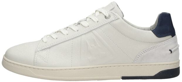 Gemini Lea M - large