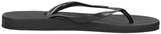 Anatomic Colors - large