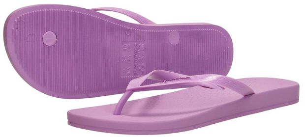 Anatomic Colors - large