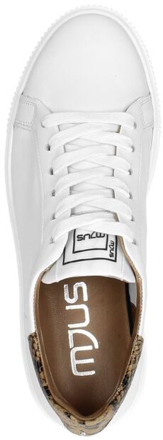 Dames sneakers - large