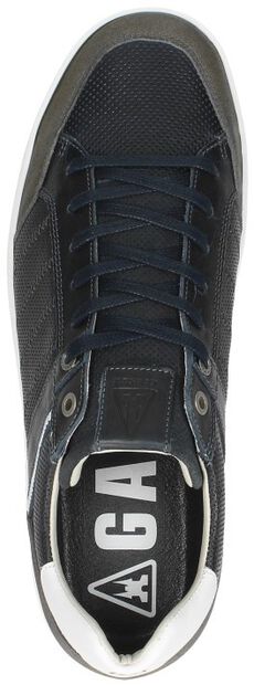 Wallace PRF M - large