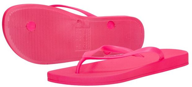 Anatomic Colors - large