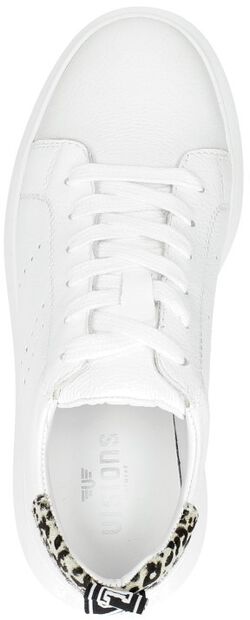 Dames sneakers - large