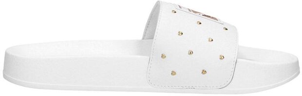 Leadcat Studs - large