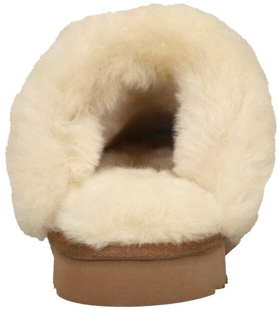 Flurry - large