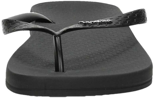 Anatomic Colors - large