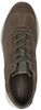 Astir Lite - small