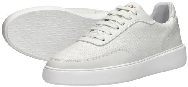 Taylor Lthr Prf - large