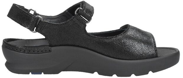 Delft Caviar - large