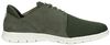 Graydon Oxford - small