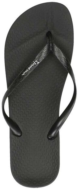 Anatomic Colors - large