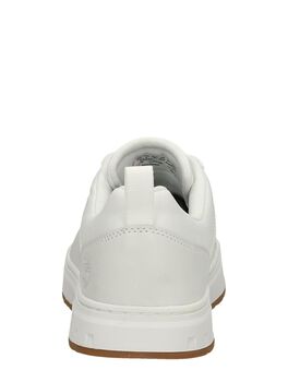 Maple Grove Leather Ox